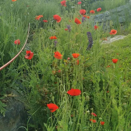 Katharinas Veganer Naturgasthof