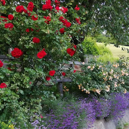 Katharinas Veganer Naturgasthof Hotell