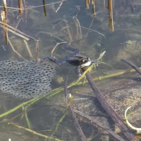 Katharinas Veganer Naturgasthof Hotell