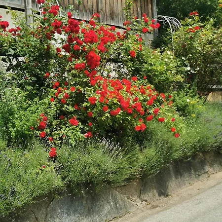 Hotel Katharinas Veganer Naturgasthof Iselsberg