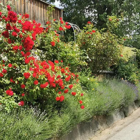 Katharinas Veganer Naturgasthof *