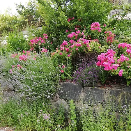 Hotell Katharinas Veganer Naturgasthof Iselsberg