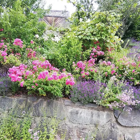 Hotel Katharinas Veganer Naturgasthof