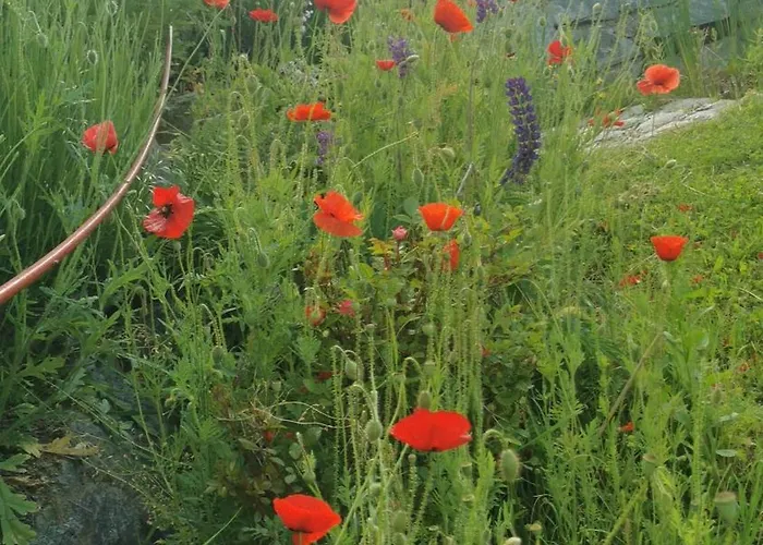 Katharinas Veganer Naturgasthof