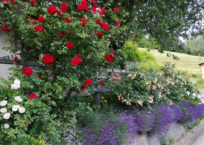 Katharinas Veganer Naturgasthof Hotel