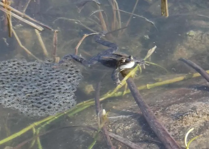 Katharinas Veganer Naturgasthof Hotel