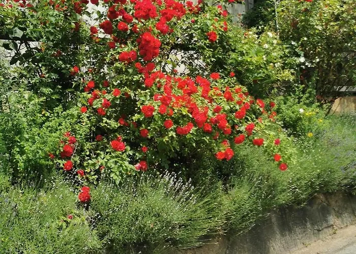 Hotel Katharinas Veganer Naturgasthof Iselsberg