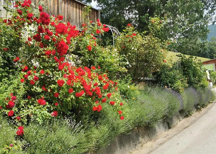 Katharinas Veganer Naturgasthof *