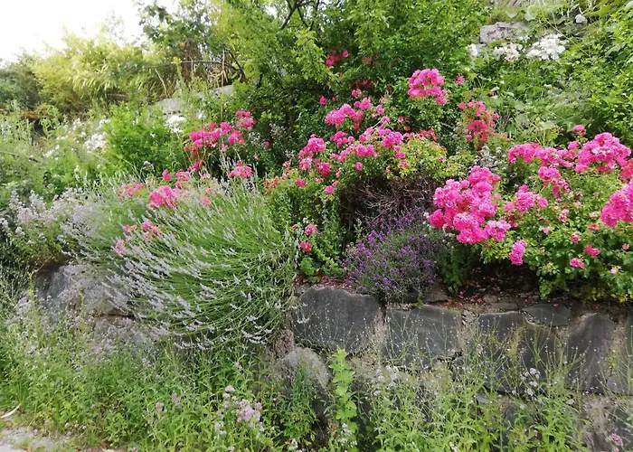 Hotel Katharinas Veganer Naturgasthof Iselsberg