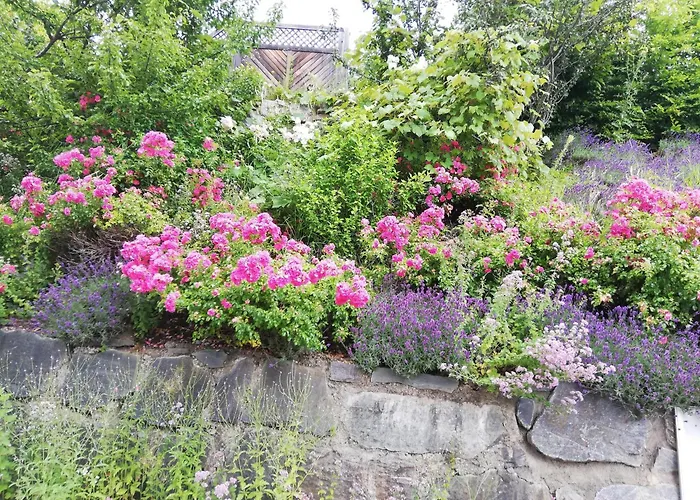 Hotel Katharinas Veganer Naturgasthof