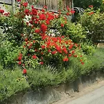 Hotel Katharinas Veganer Naturgasthof Iselsberg